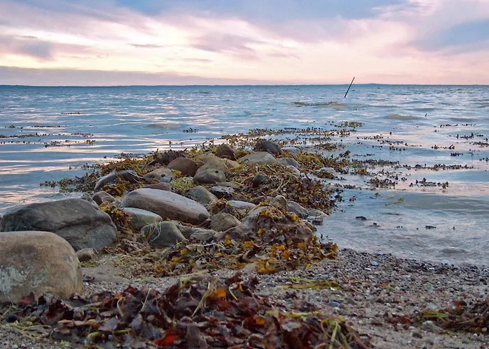 5 Star In * 보겐세